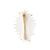 Lladró Jewelry: Actinia Big Earring. White and Golden luster.