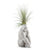 Lladró: Gorilla Garden Figurine. Matte White. Plant the Future