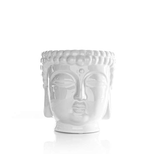 Thompson Ferrier Buddha White - Jasmine Lily